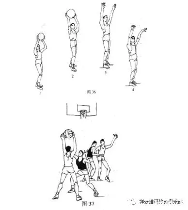 篮球一周的训练计划怎么写_0